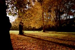 Park in Stuttgart
